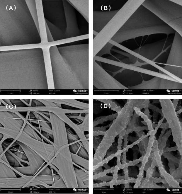 不同工艺条件纺丝纤维扫描电镜图