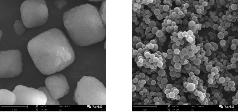  扫描电镜下的催化剂晶体颗粒 