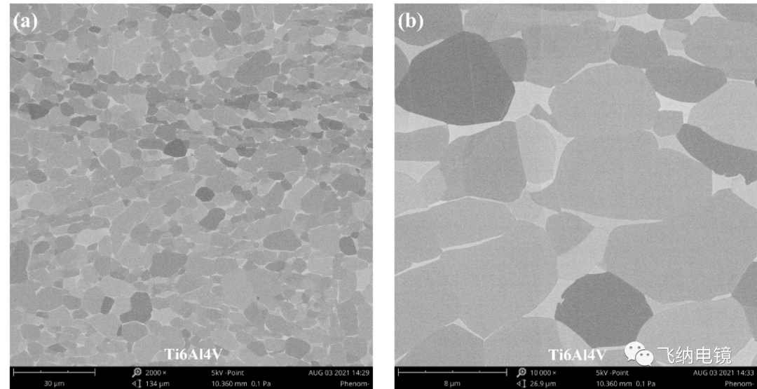 Ti-6Al-4V 的扫描电镜 （SEM） 显微结构图