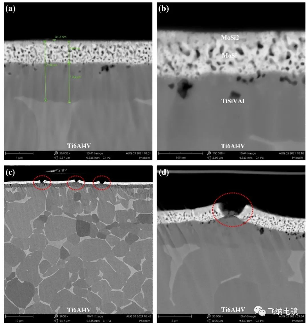Ti-6Al-4V 的 MoSi2 镀层扫描电镜图
