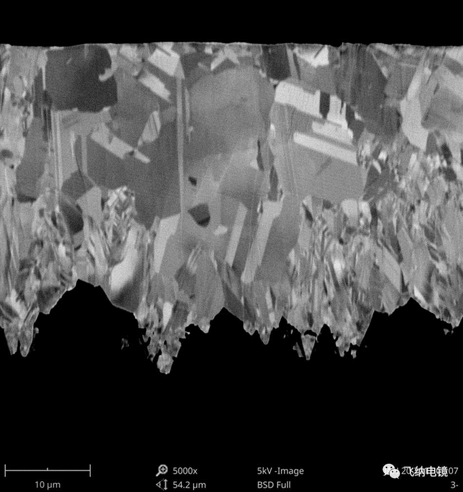 扫描电镜（SEM）下电解铜箔的晶型