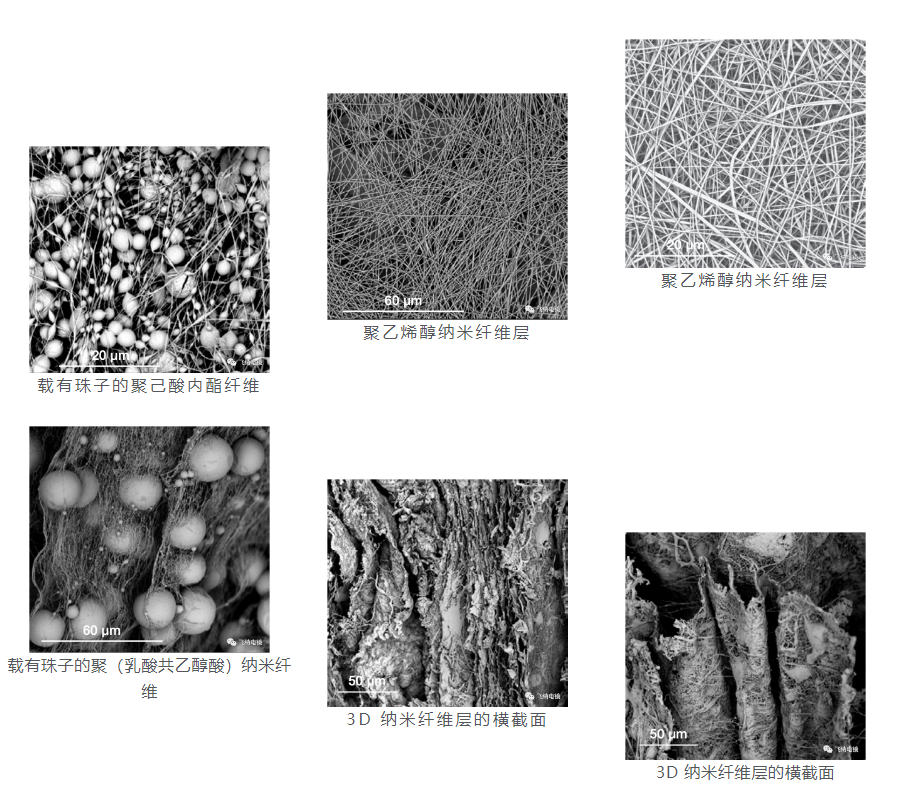 飞纳台式扫描电镜在纳米纤维表征上的应用