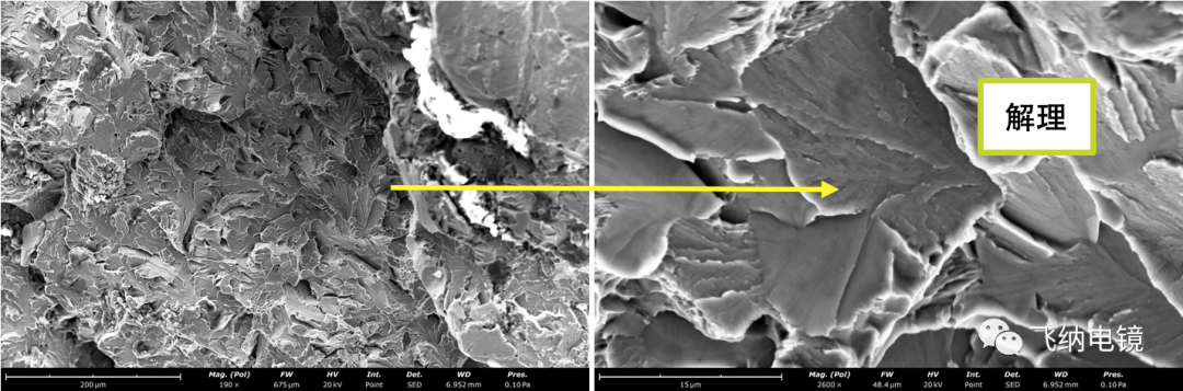 扫描电镜 Phenom XL G2 可以快速地对断口进行微观形貌观察2