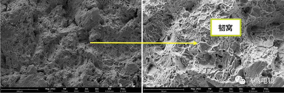 扫描电镜快速地对断口进行微观形貌观察5