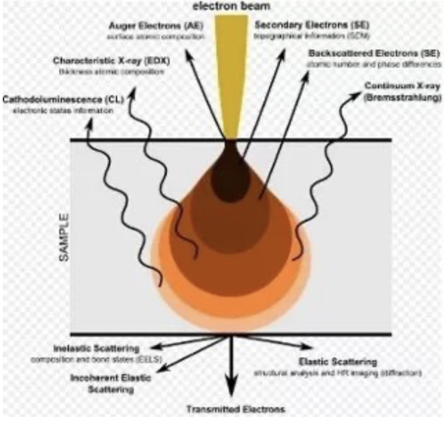 扫描电镜中电子与物质相互作用区域，产生不同类型的信号