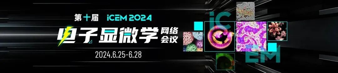 飞纳电镜将在第十届电子显微学网络会议，重磅发布最新产品以及应用案例