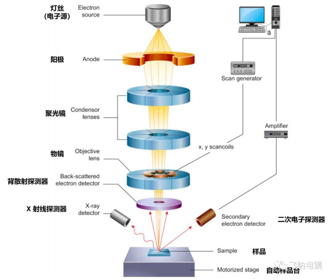 扫描电镜各部件结构示意图