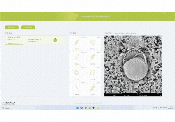 Diatom AI 硅藻全自动检测系统