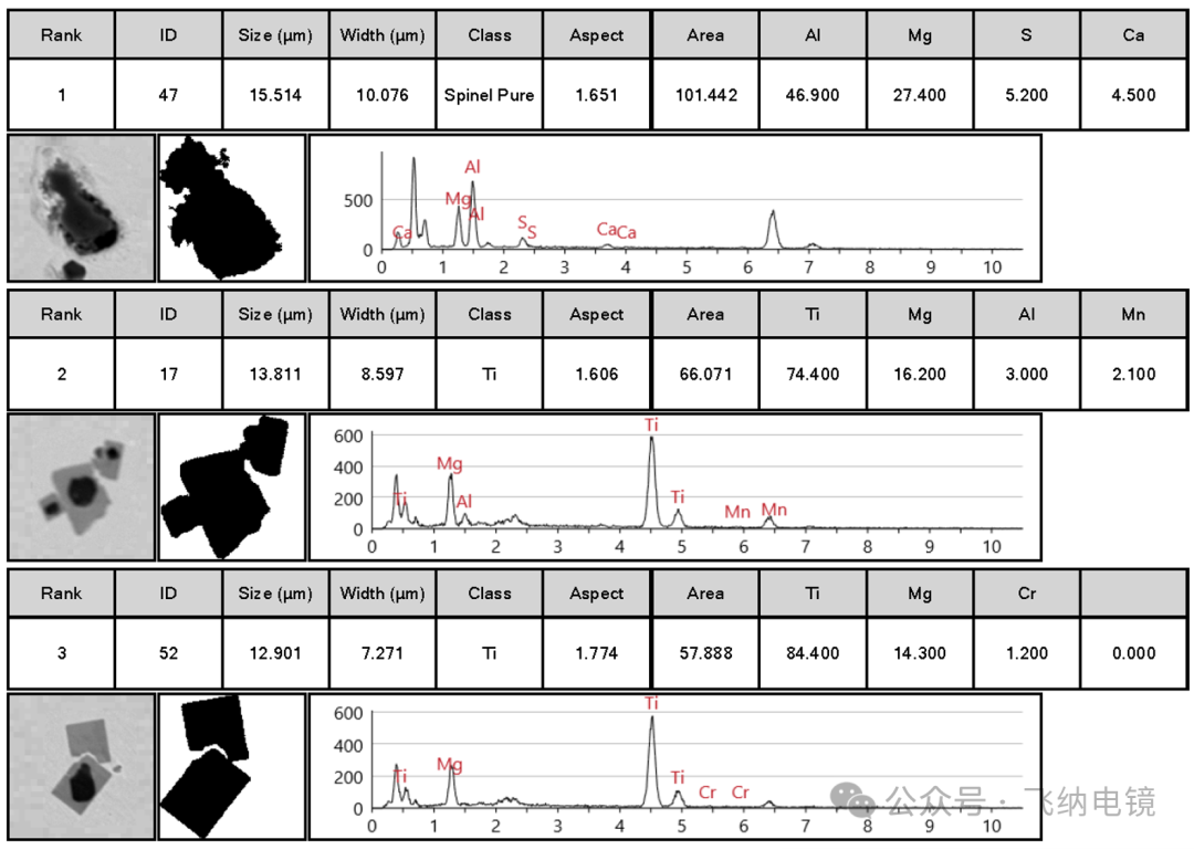 扫描电镜下特征夹杂物形貌图片
