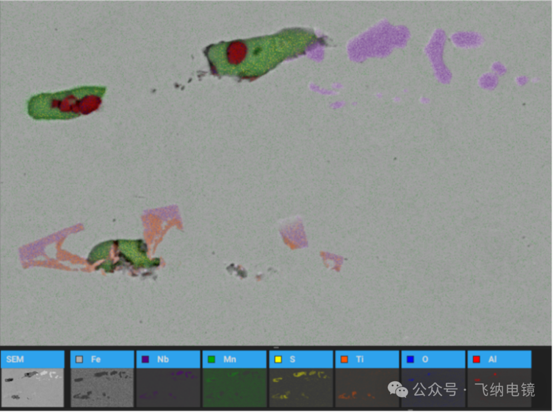 飞纳扫描电镜一键重新定位感兴趣夹杂物,做成分面分布扫描