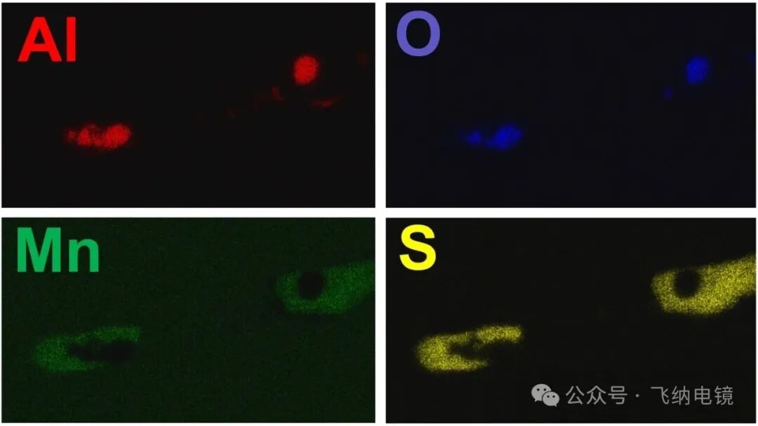 飞纳电镜能谱分析,成分分析