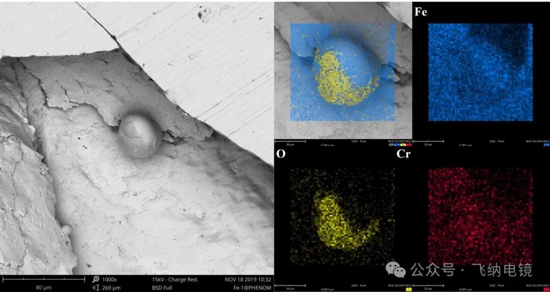 扫描电镜轴承钢断口 EDS 分析