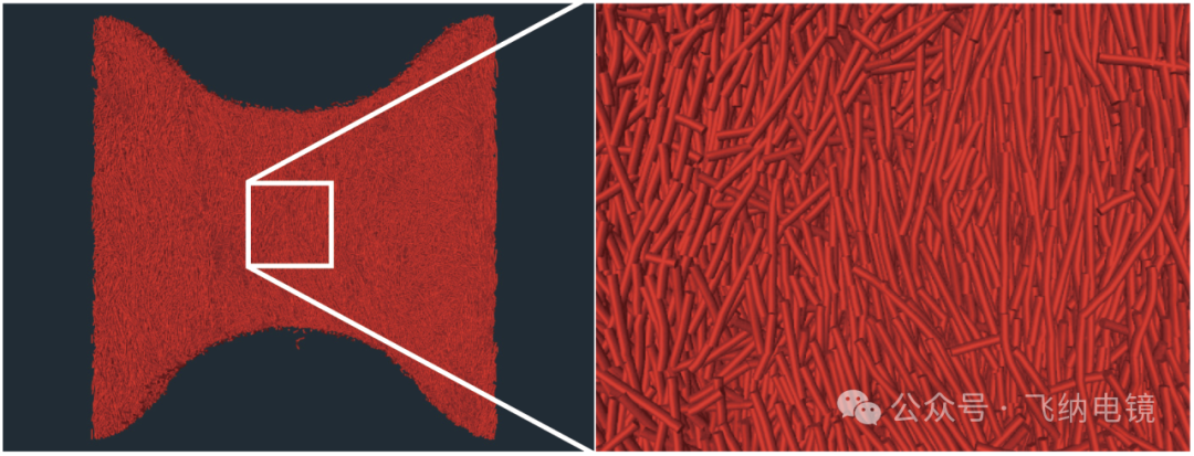 单根纤维分割与局部放大图