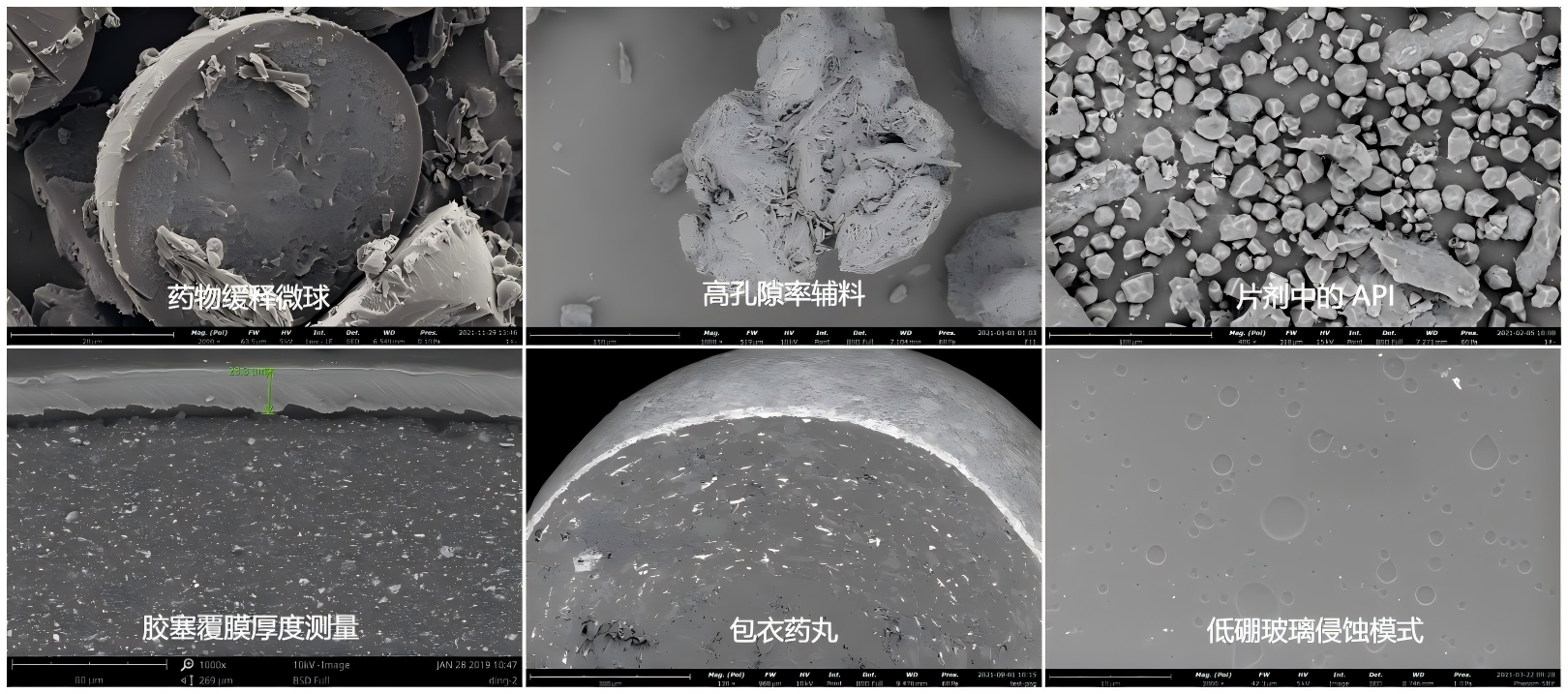 扫描电镜在医药的应用哪里