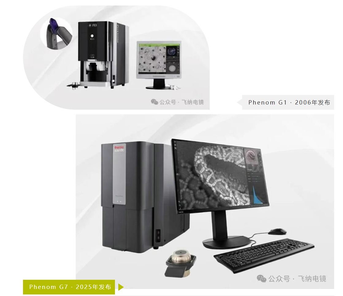 飞纳台式电镜G7