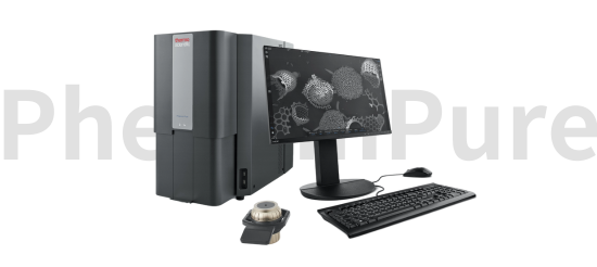 phenom pure 台式扫描电镜